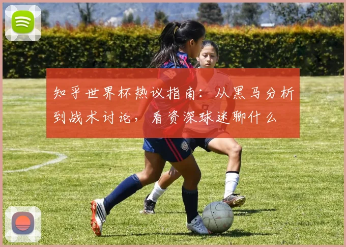 知乎世界杯热议指南:从黑马分析到战术讨论,看资深球迷聊什么