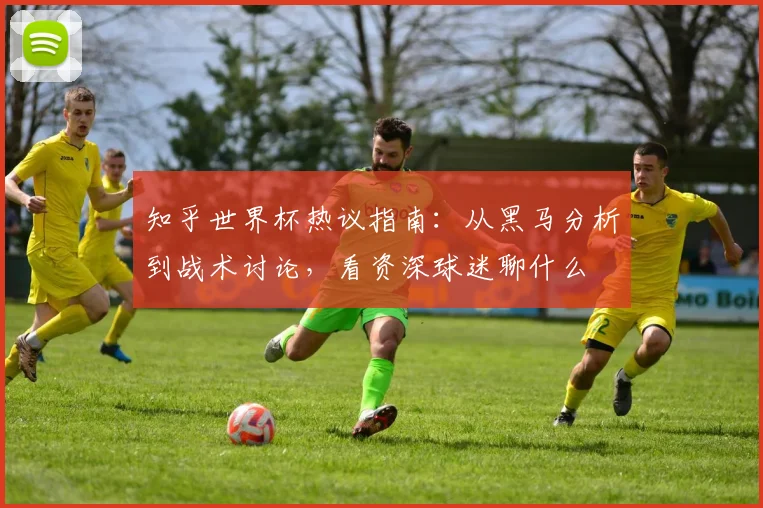 知乎世界杯热议指南:从黑马分析到战术讨论,看资深球迷聊什么